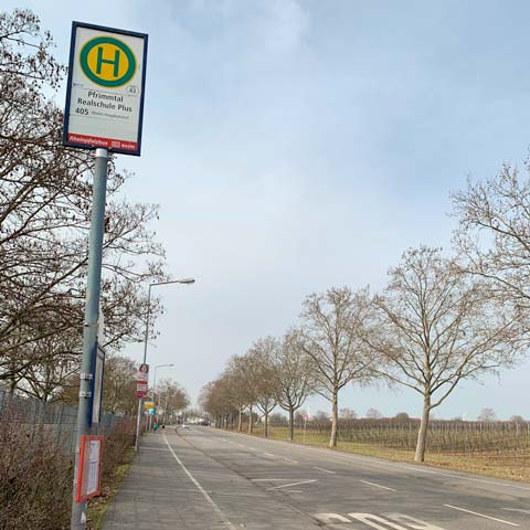 Sperrung der Zufahrt zur Nievergoltstraße 63 im Zuge der Baumaßnahmen