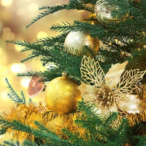 Zeit für eine Pause!