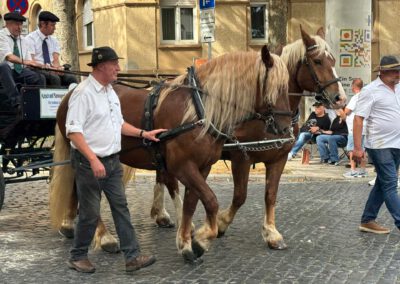 Die Pfrimmtalschule Worms auf dem Backfischfest 2026, Bild 5